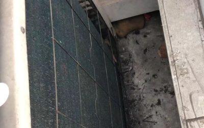 Chemical Wash Outdoor Condenser