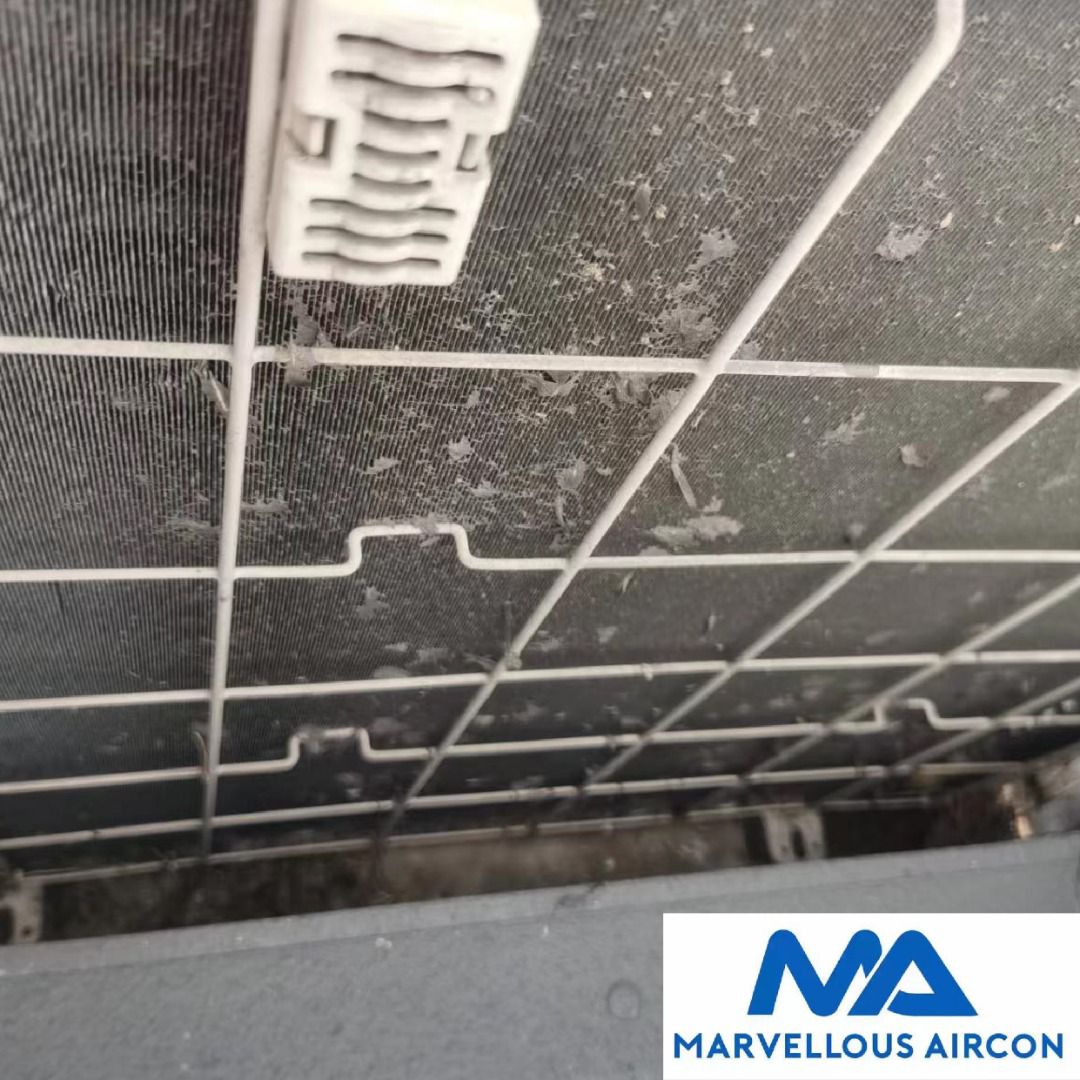 Cleaning Outdoor Condenser