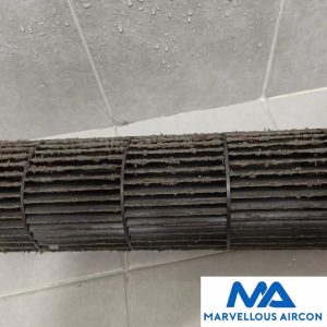 Cleaning Blower Wheel