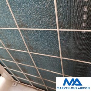 Cleaning Outdoor Condenser