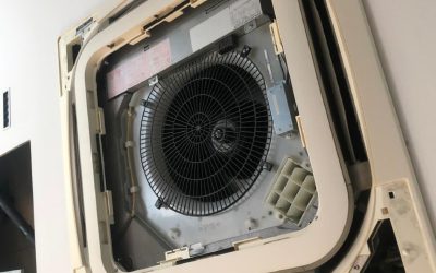 Ceiling Cassette Chemical Overhaul in Orchard