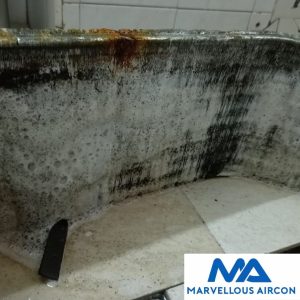 Ceiling Cassette Chemical Overhaul in Kallang