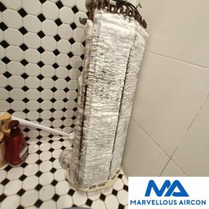 Fancoil Chemical Overhaul in SengKang