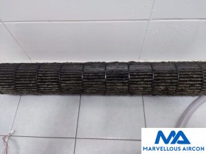 Cleaning Blower Wheel