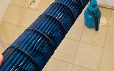 Cleaning Blower Wheel in Novena