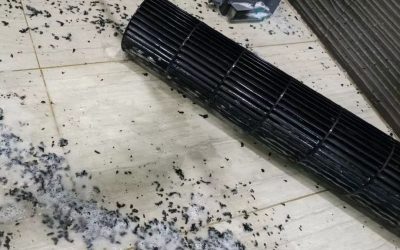 Cleaning Blower Wheel