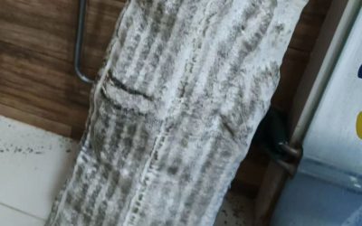 Fancoil Chemical Overhaul in Tampines