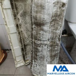 Fancoil Chemical Overhaul in Tampines