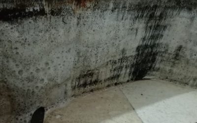 Ceiling Cassette Chemical Overhaul in Bugis